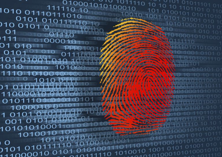 api forensic